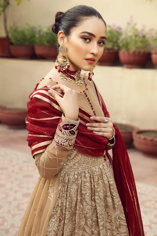 Aangan | Alizeh Embroidered Chiffon Festive Collection Shahtaj | Unstitched Embroidered Chiffon Suits