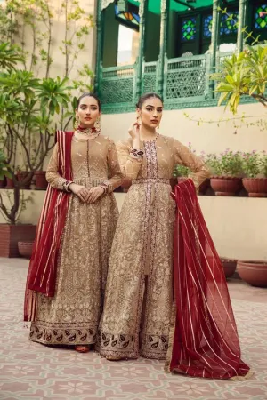 Aangan | Alizeh Embroidered Chiffon Festive Collection Shahtaj | Unstitched Embroidered Chiffon Suits