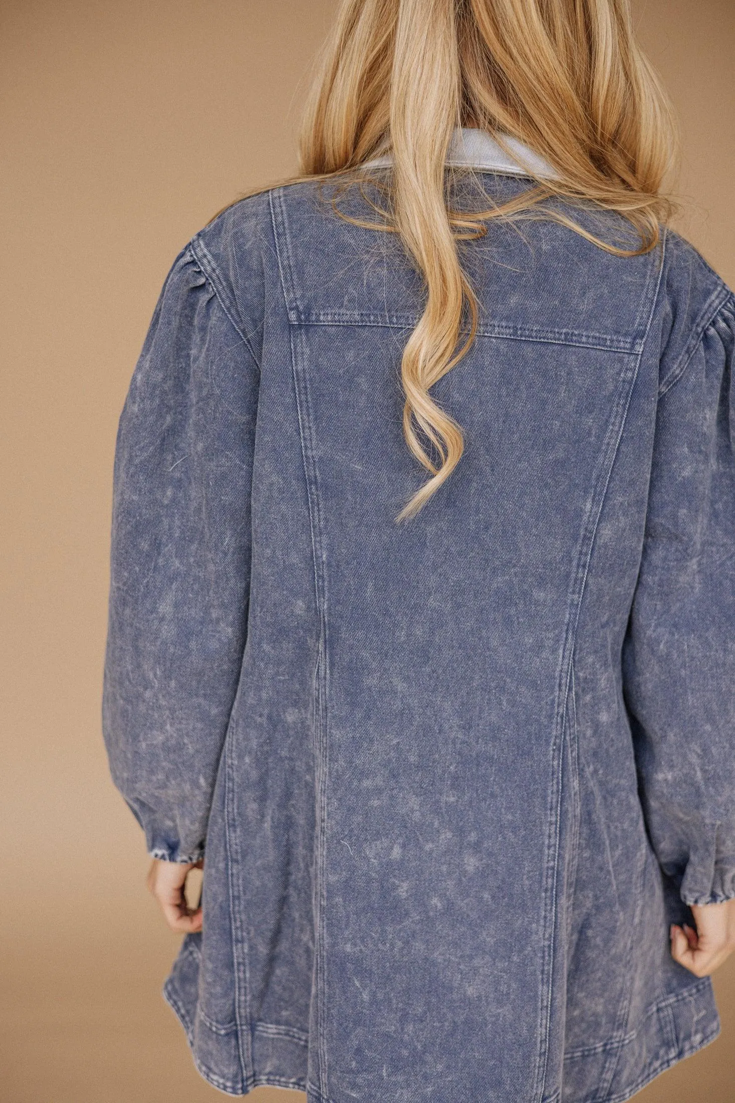 Alexa Long Sleeve Denim Dress