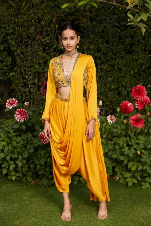 Anisa Concept Saree