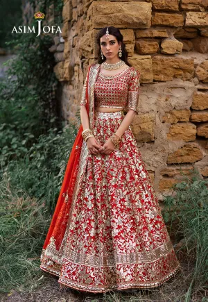 ASIM JOFA | Asim Jofa Bekhudi Collection '24 ( AJKB-11)