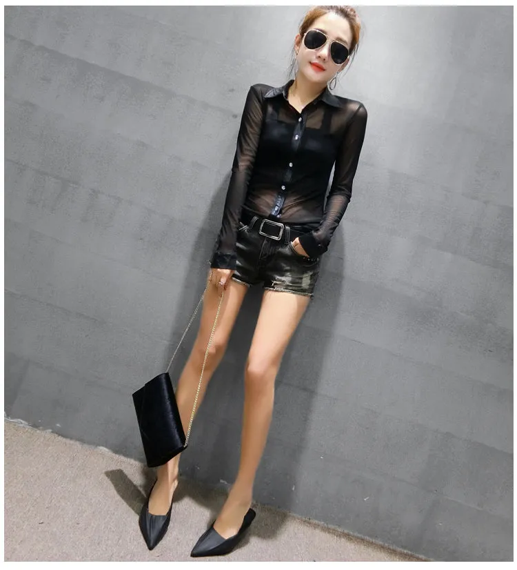 Cardigan Long Sleeve Slim Mesh Transparent Blouse