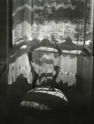 Chair in Janacek’s House
