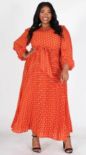 Chiffon Polka Dot Maxi Dress