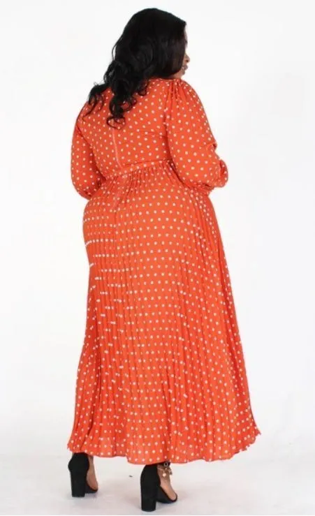 Chiffon Polka Dot Maxi Dress