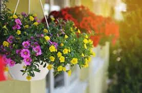 HANGING FLOWER BASKET
