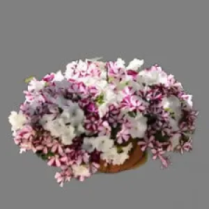 HANGING FLOWER BASKET