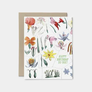 Happy Birthday to You card