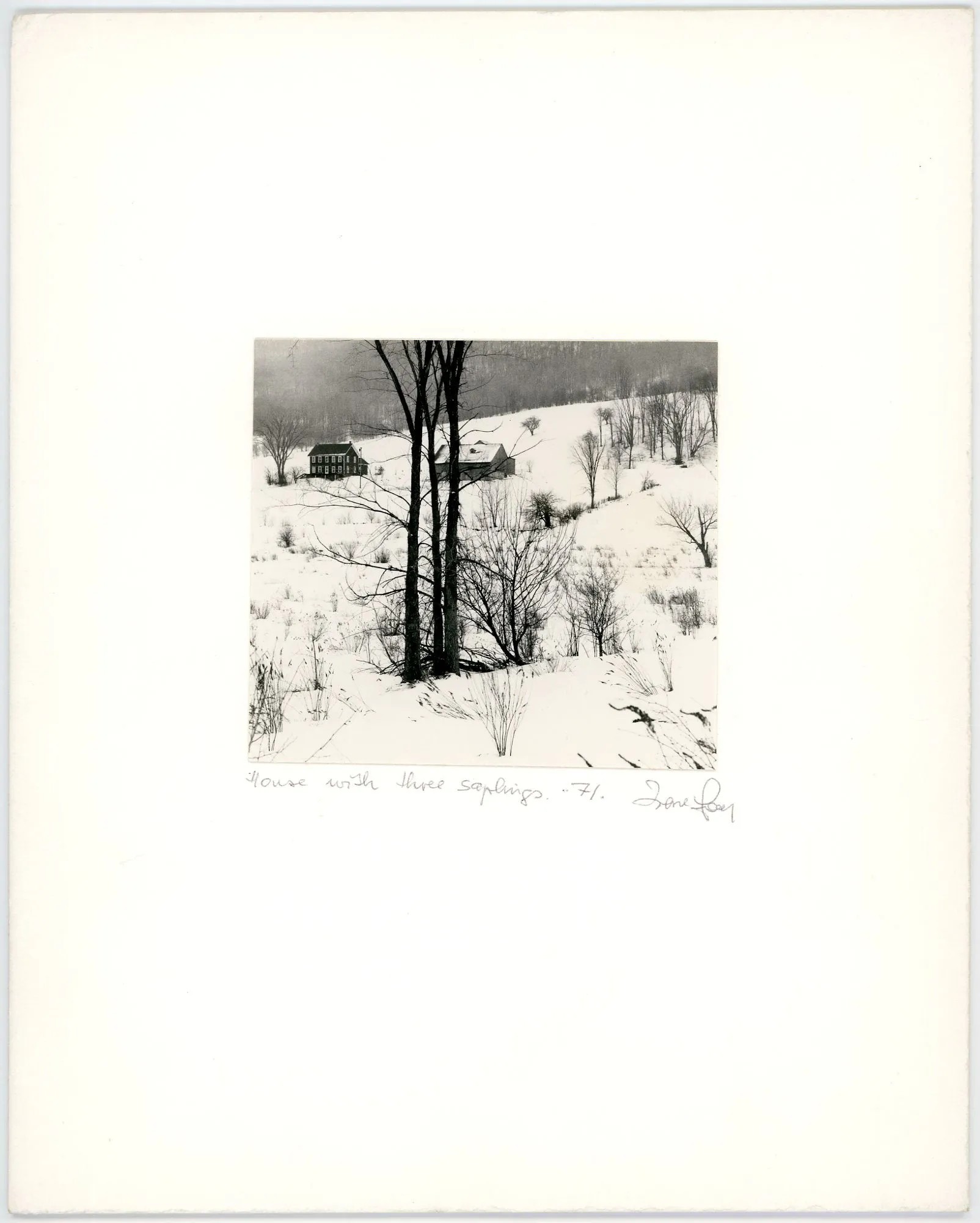 House With Three Saplings