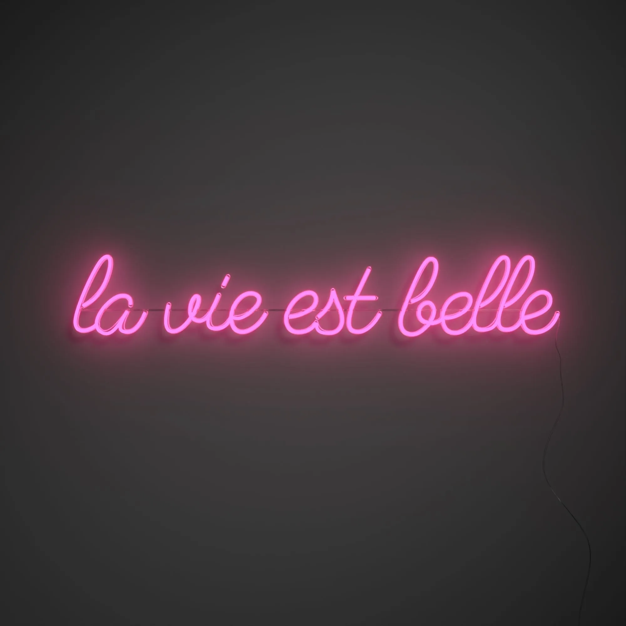 La vie est belle - LED neon sign