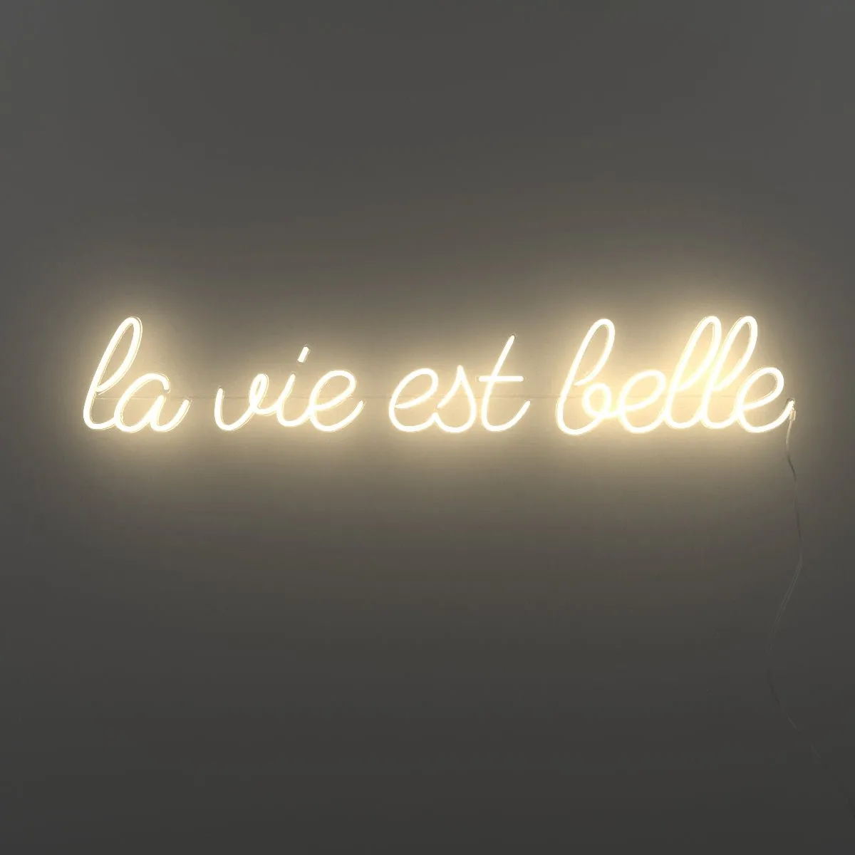 La vie est belle - LED neon sign