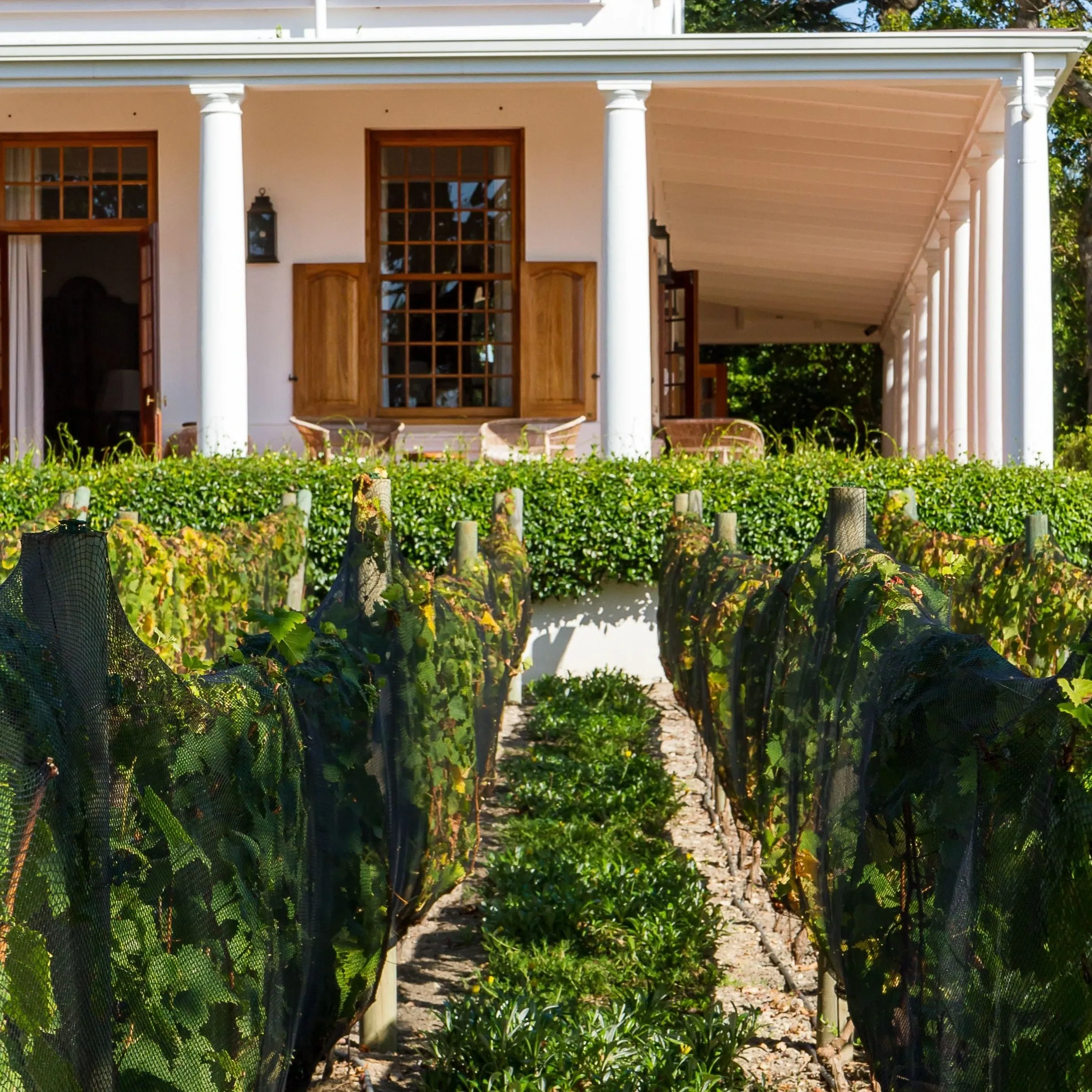 Lapiz Lazuli - Constantia, Cape Town