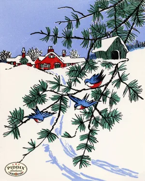 PDXC24263a -- Christmas Birds in Snow