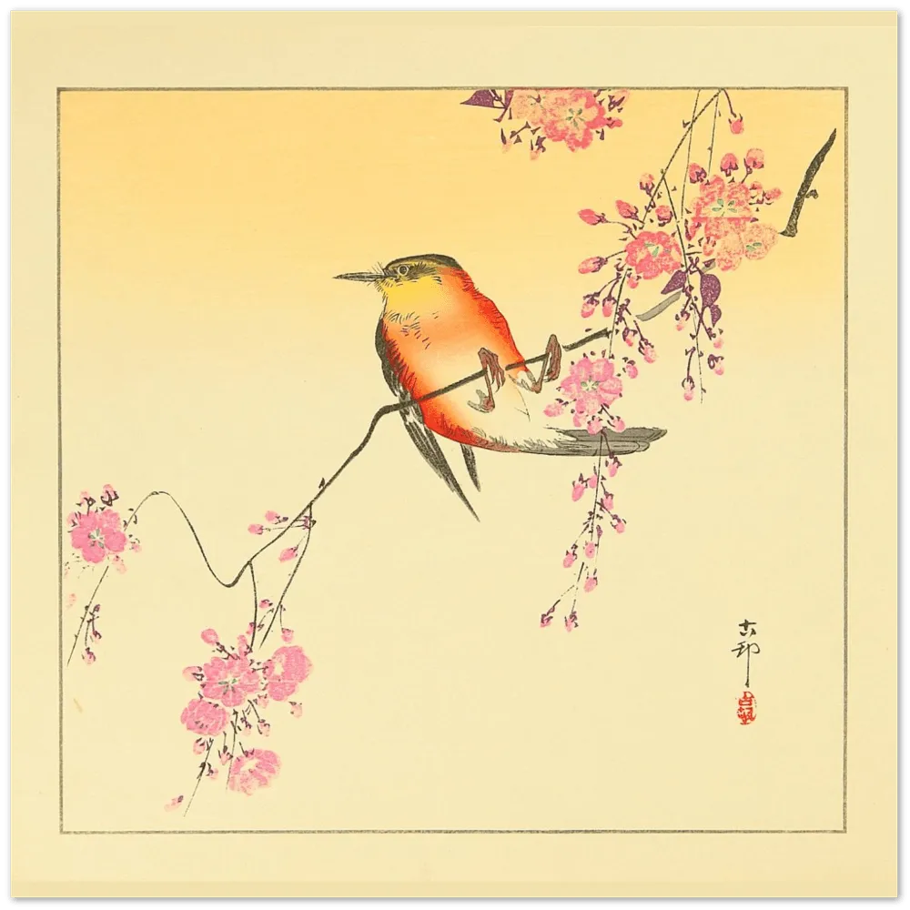 Red Bird & Cherry Blossoms - Ohara Koson