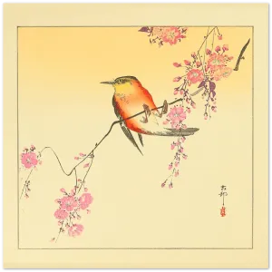 Red Bird & Cherry Blossoms - Ohara Koson