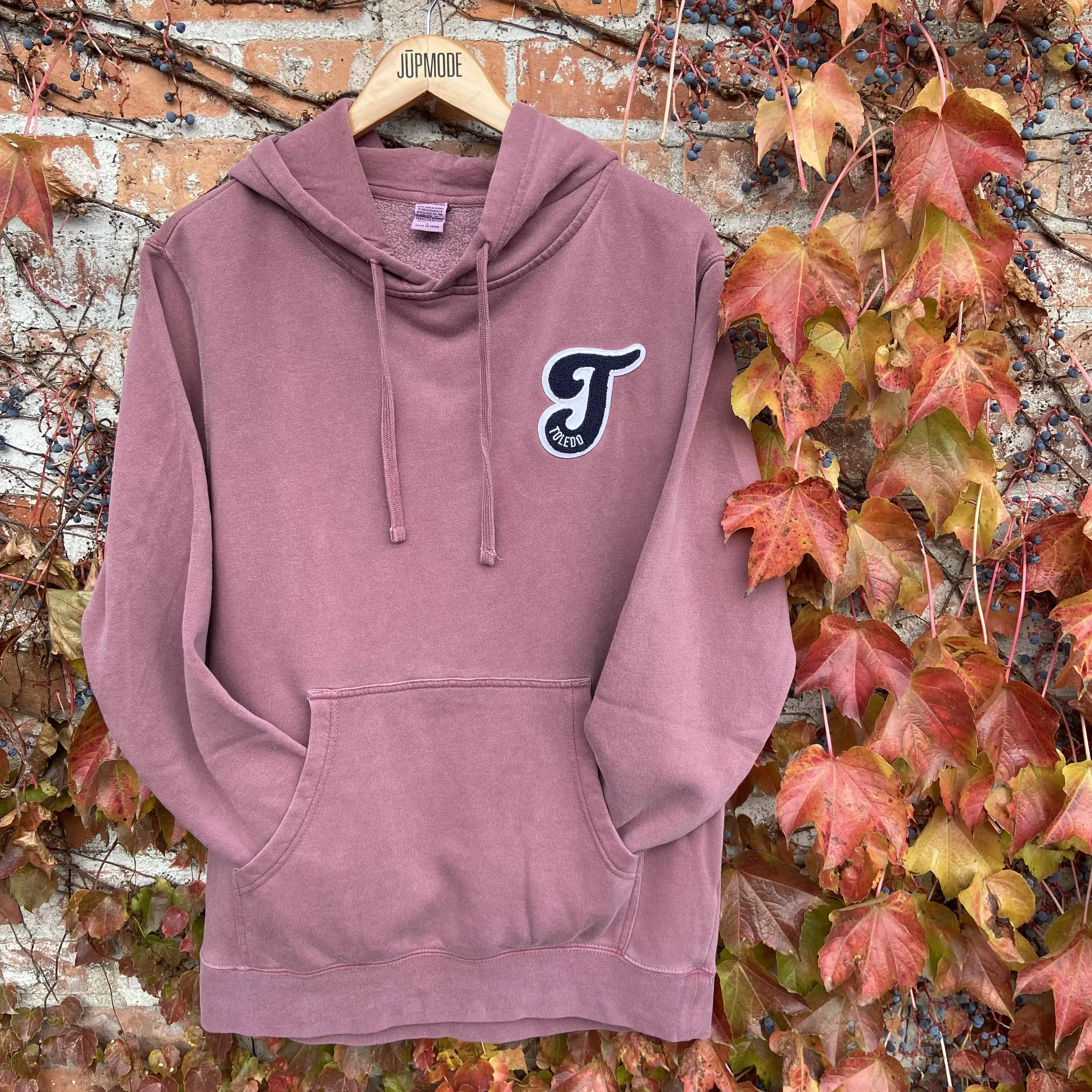 Toledo Chenille Pigment Dyed Hoodie (Discontinued)