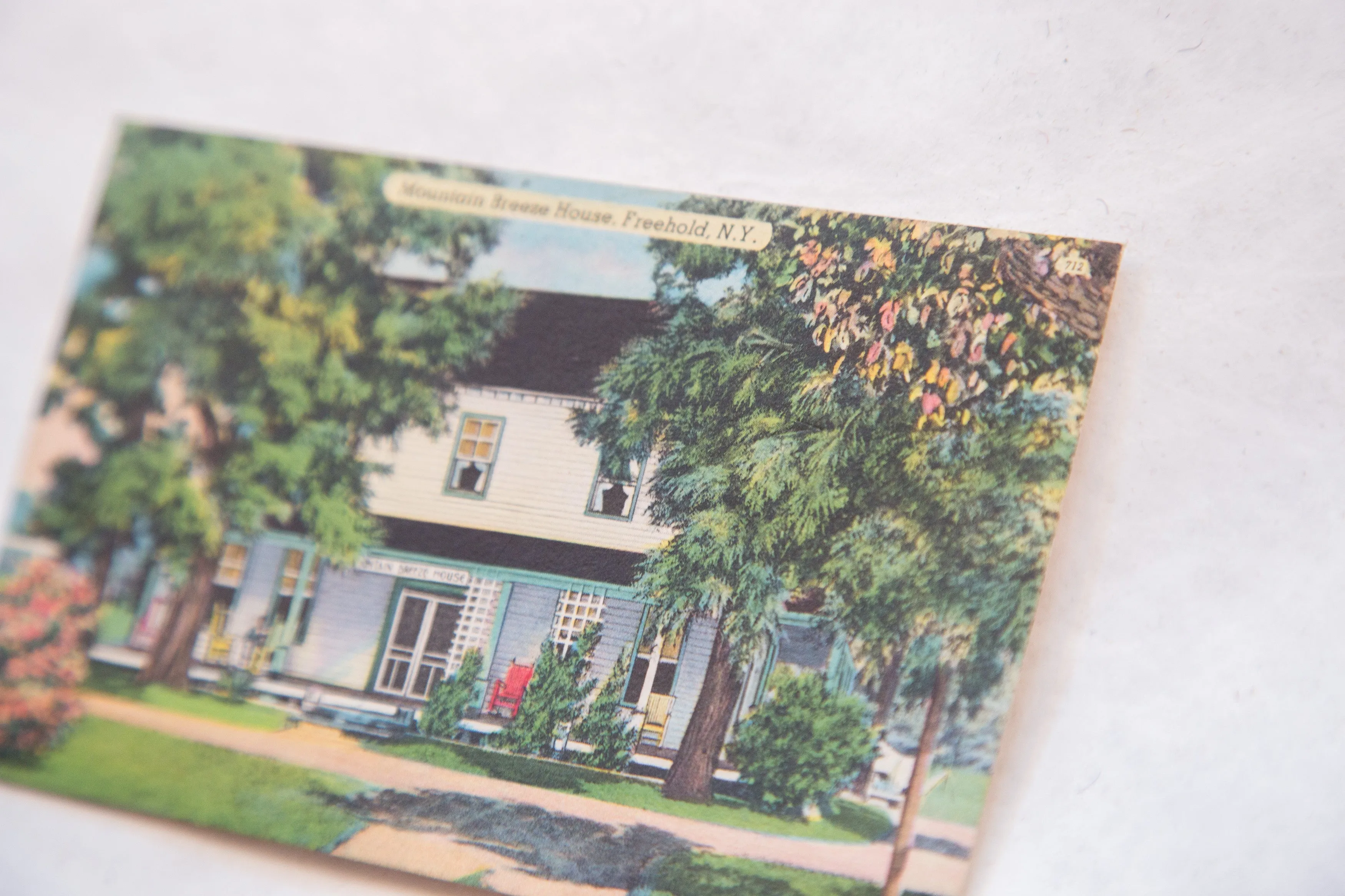 Vintage Catskills NY Postcard Mountain Breeze House Freehold