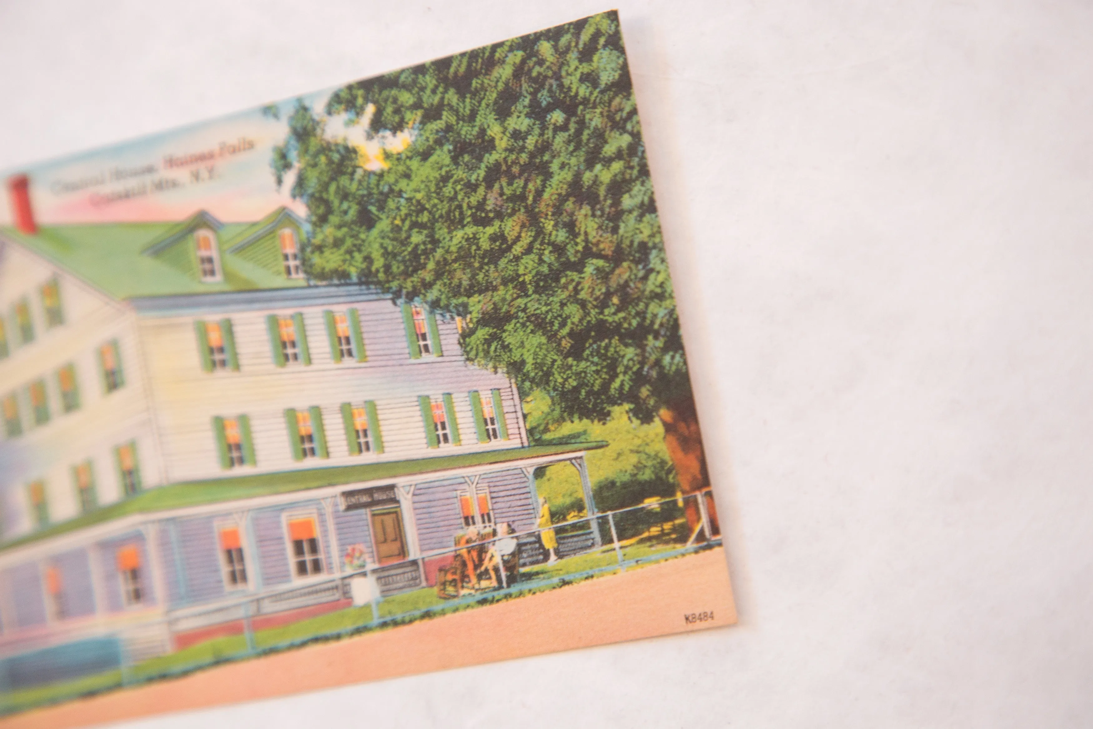 Vintage Central House Haines Falls Catskill Mts NY Postcard