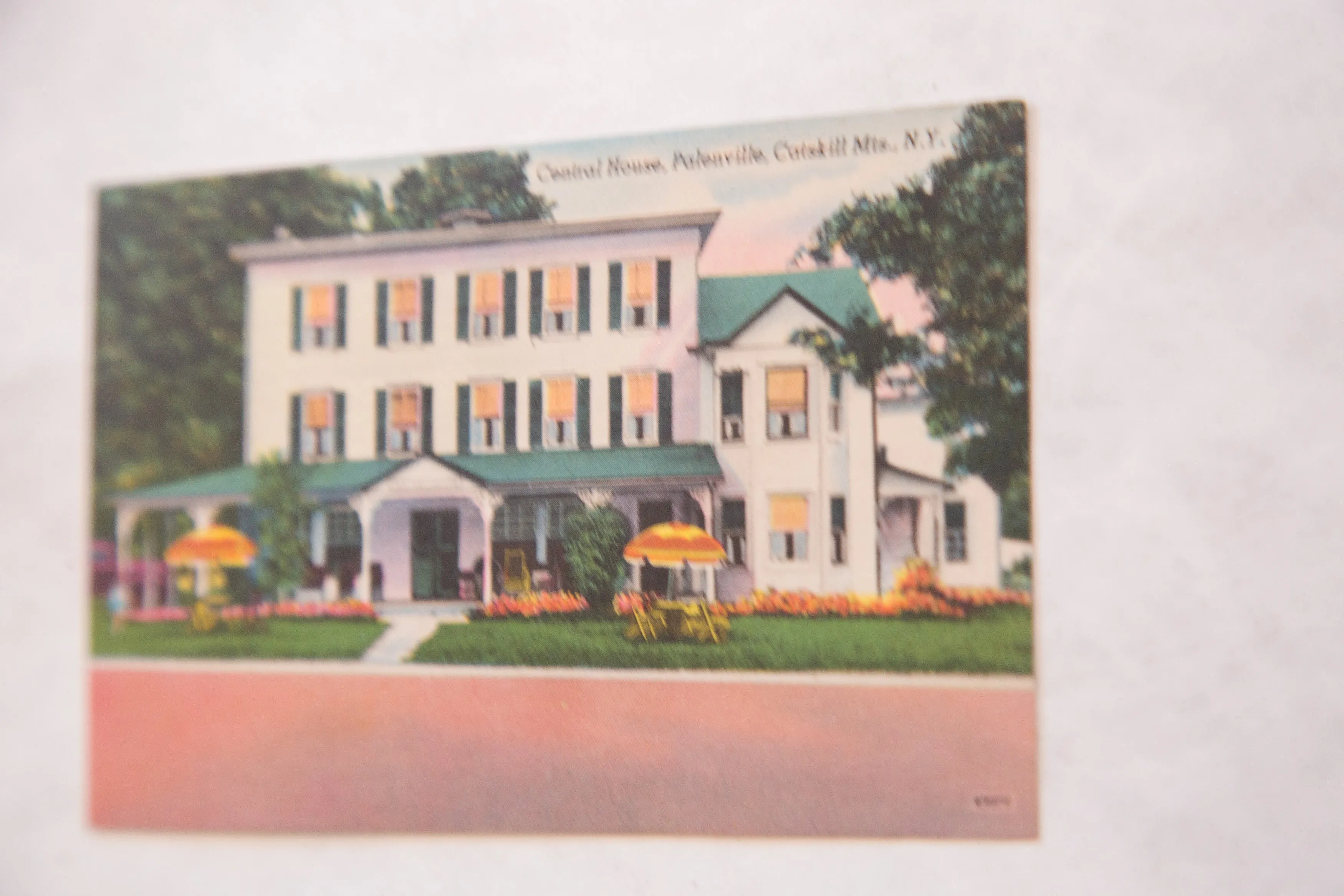 Vintage Central House Palenville Catskills Postcard