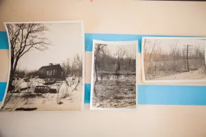 Vintage Tree Photographs