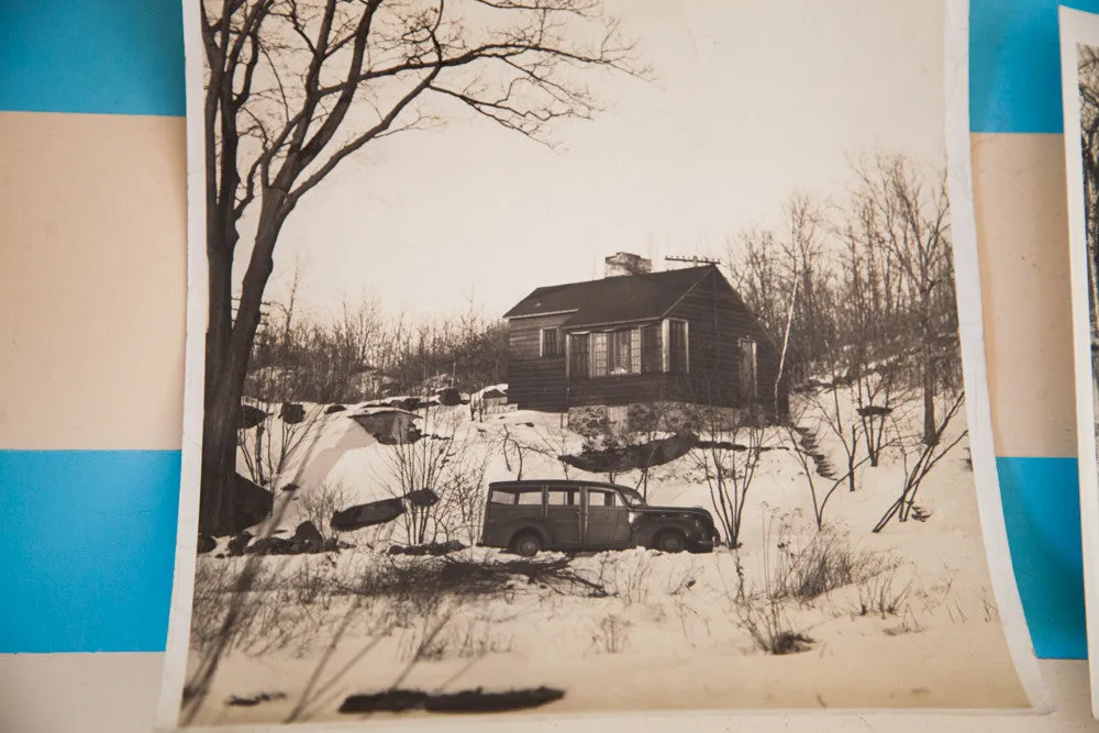 Vintage Tree Photographs