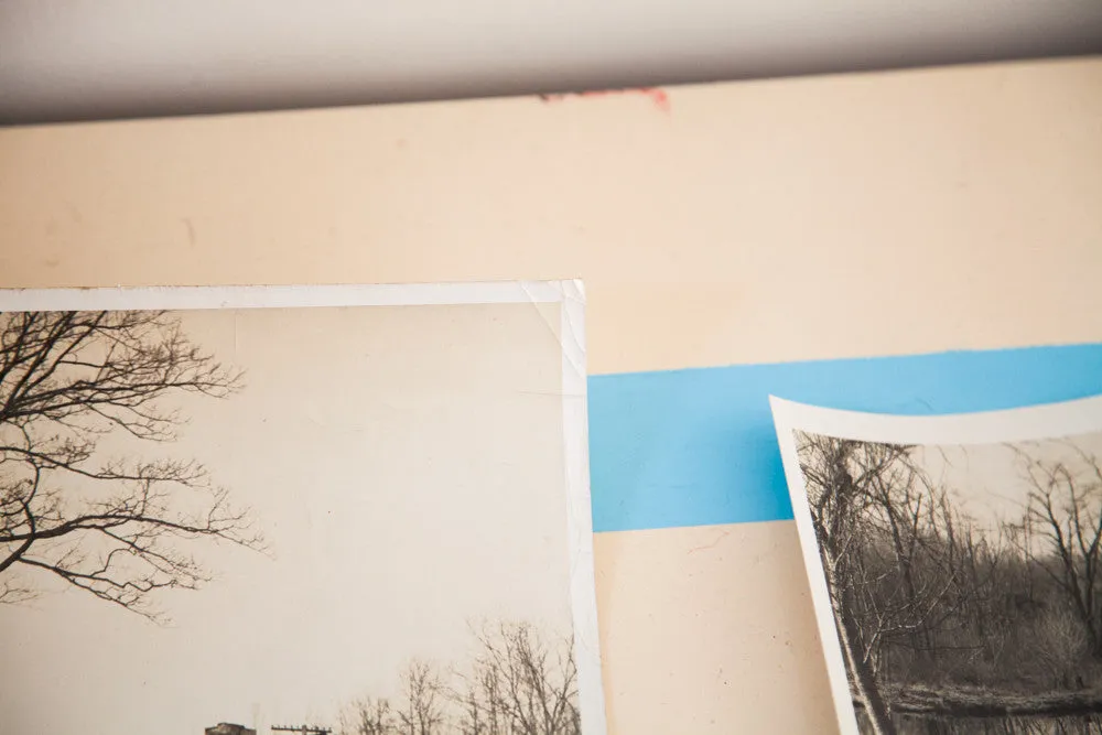 Vintage Tree Photographs